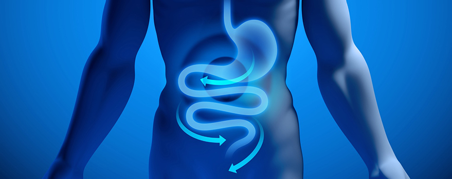 Gastroenterologia